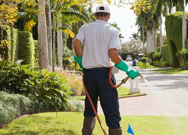 About Corinth ME Pest Control Pros